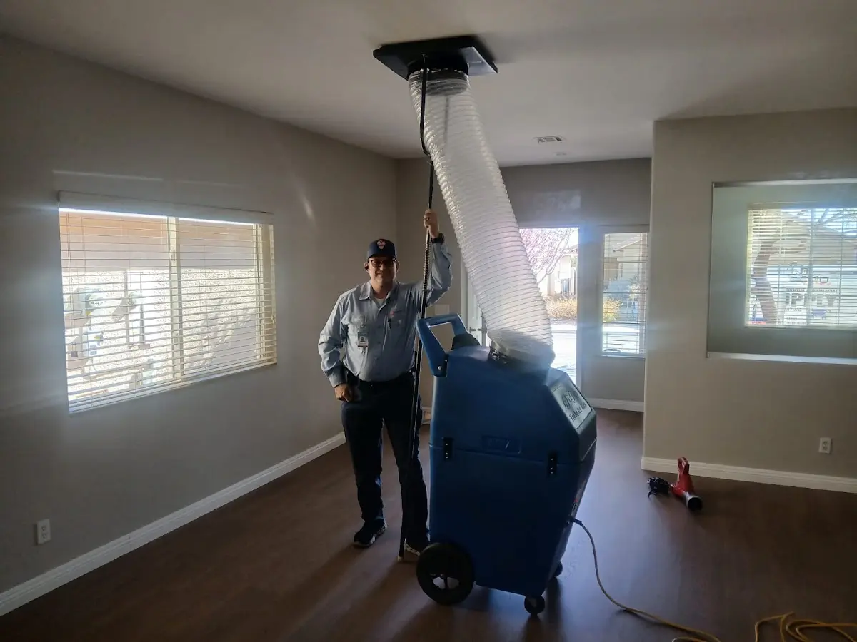 Professional Dryer Vent Cleaning work inside a Henderson home